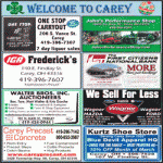 Carey-Businesses-mar2016